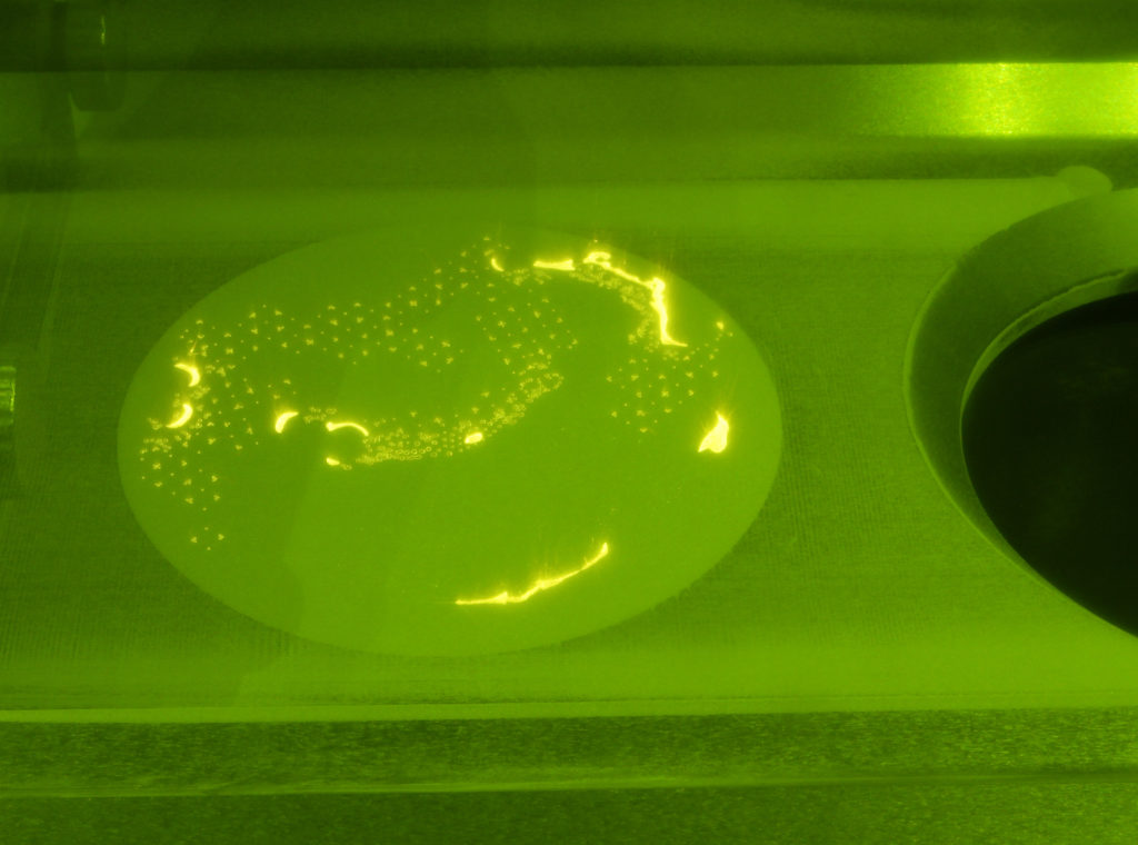 SLM (Selective Laser Melting)